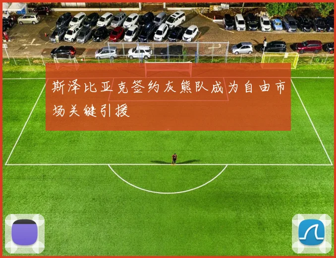 斯泽比亚克签约灰熊队成为自由市场关键引援