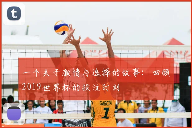 一个关于激情与选择的故事：回顾2019世界杯的投注时刻