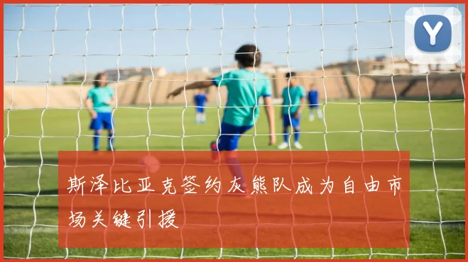 斯泽比亚克签约灰熊队成为自由市场关键引援