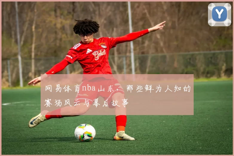网易体育nba山东，那些鲜为人知的赛场风云与幕后故事