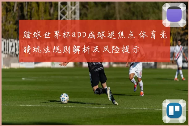 赌球世界杯app成球迷焦点 体育竞猜玩法规则解析及风险提示