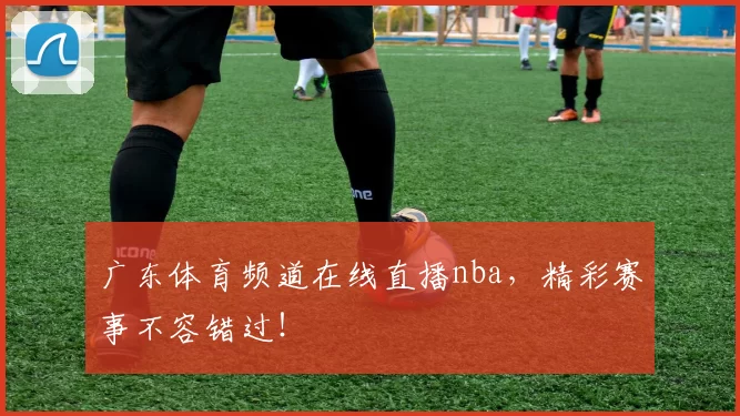 广东体育频道在线直播nba，精彩赛事不容错过！
