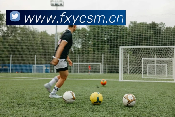 kaiyun体育在线登陆入口(China)官方网站服务体系